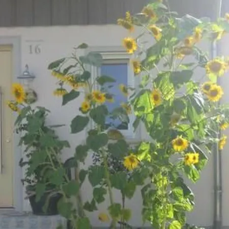 In Mit Terrasse Und Grill By Interhome Apartman Beuren