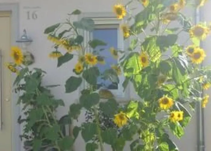 In Mit Terrasse Und Grill By Interhome Apartman Beuren